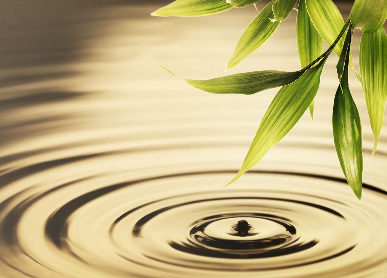 leaf-ripple